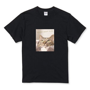 TVc LbY ǂTCY L ˂ lR 킢 JCC ʐ^ x[W TCY 100 110 120 130 140 150   100% Rbg TVc TVc zCg ubN ǂ qTCY q