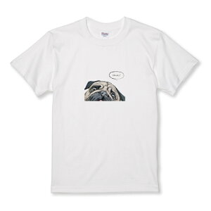 TVc LbY ǂTCY pO  q CXg 킢 l  JCC TCY 100 110 120 130 140 150   100% Rbg TVc TVc zCg ubN ǂ qTC