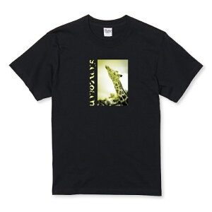 z 50%OFF X[p[Z[ TVc LbY ǂTCY Aj} L  킢 yA ZsA 킢 TCY 100 110 120 130 140 150   100% Rbg TVc TVc z