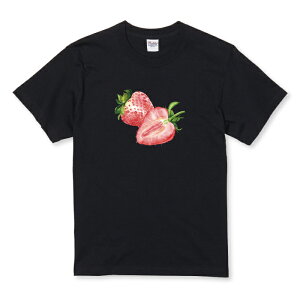 TVc LbY ǂTCY C`S   Xgx[ 킢 K[[  rbOvg TCY 100 110 120 130 140 150   100% Rbg TVc TVc zCg ubN 