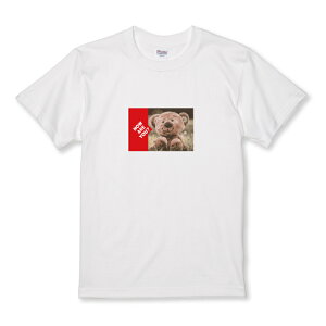 TVc LbY ǂTCY 킢 tHgT  efBxA ʂ JWA TCY 100 110 120 130 140 150   100% Rbg TVc TVc zCg ubN ǂ q