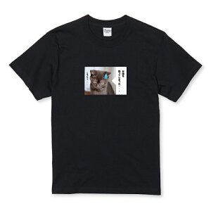 T�V���c �L�b�Y ���ǂ��T�C�Y ���킢�� �l�R �q�L �L����� �t�H�gT ���b�Z�[�W �J�W���A�� �T�C�Y 100 110 120 130 140 150 ���� �� 100% �R�b�g�� ��T�V���c ��T�V���c �z���C�g �u���b�N ���ǂ��� �q