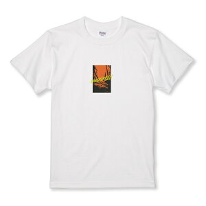 z 50%OFF X[p[Z[ TVc LbY ǂTCY Vv n[hRA ^RA Xg[g TCY 100 110 120 130 140 150   100% Rbg TVc TVc zCg ubN