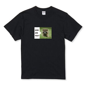 z 50%OFF X[p[Z[ TVc LbY ǂTCY 炢 ACO} 킢 tHgT Aj} Vv JWA TCY 100 110 120 130 140 150   100% Rbg TVc 