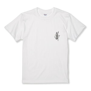 z 50%OFF X[p[Z[ TVc LbY ǂTCY  Vv |Cg A ` l  킢 ꂢ TCY 100 110 120 130 140 150   100% Rbg TVc T