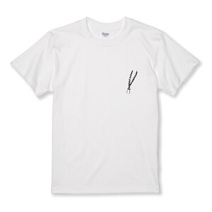 z 50%OFF X[p[Z[ TVc LbY ǂTCY  Vv |Cg A ` l  킢 ꂢ TCY 100 110 120 130 140 150   100% Rbg TVc T