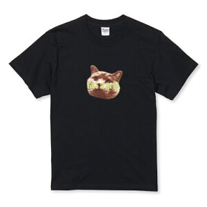 z 50%OFF X[p[Z[ TVc LbY ǂTCY lR ueBbVV[gwA ʐ^ L fW^  킢 TCY 100 110 120 130 140 150   100% Rbg TVc 