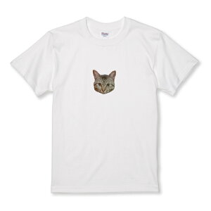 z 50%OFF X[p[Z[ TVc LbY ǂTCY  |Cg lR L ˂ AJV[gwA  킢 TCY 100 110 120 130 140 150   100% Rbg T