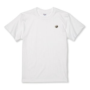 z 50%OFF X[p[Z[ TVc LbY ǂTCY |Cg  V[ Ck ؂蔲 GR ʐ^  킢 TCY 100 110 120 130 140 150   100% Rbg TVc 