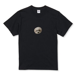 TVc LbY ǂTCY |Cg  V[ Ck ؂蔲 GR ʐ^  킢 TCY 100 110 120 130 140 150   100% Rbg TVc TVc zCg ubN 