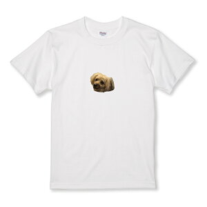 TVc LbY ǂTCY  񂿂 gCv[h gCv[ ʐ^ J[ V[  TCY 100 110 120 130 140 150   100% Rbg TVc TVc zCg ubN 