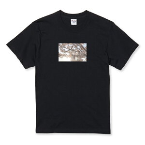 Tシャツ キッズ こどもサイズ 花 きれい 桜 風景 おしゃれ かわいい 写真 サイズ 100 110 120 130 140 150 半袖 綿 100% コットン 白Tシャツ 黒Tシャツ ホワイト ブラック こども服 子供サイズ 子供服
