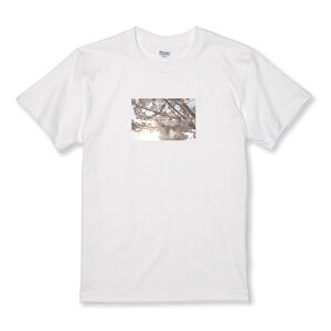 TVc LbY ǂTCY  ꂢ  i  킢 ʐ^ TCY 100 110 120 130 140 150   100% Rbg TVc TVc zCg ubN ǂ qTCY q 