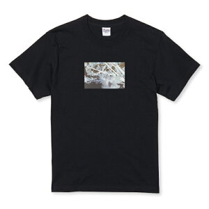 Tシャツ キッズ こどもサイズ 花 きれい 桜 風景 おしゃれ かわいい 写真 サイズ 100 110 120 130 140 150 半袖 綿 100% コットン 白Tシャツ 黒Tシャツ ホワイト ブラック こども服 子供サイズ 子供服