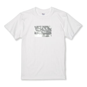 TVc LbY ǂTCY  ꂢ  i  킢 ʐ^ mN TCY 100 110 120 130 140 150   100% Rbg TVc TVc zCg ubN ǂ qTCY