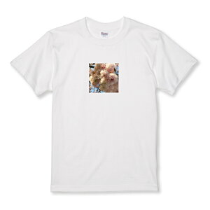 TVc LbY ǂTCY  ꂢ  i  킢 ʐ^ d TCY 100 110 120 130 140 150   100% Rbg TVc TVc zCg ubN ǂ qTCY 