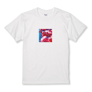 Tシャツ キッズ こどもサイズ 花 きれい ビビット 風景 疾走感 おしゃれ 写真 カラー サイズ 100 110 120 130 140 150 半袖 綿 100% コットン 白Tシャツ 黒Tシャツ ホワイト ブラック こども服 子供サイ