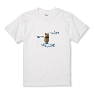 30%N[|ubNtCf[ TVc LbY ǂTCY ueBbVV[gwA  L lR ˂    TCY 100 110 120 130 140 150   100% Rbg