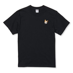 TVc LbY ǂTCY R[M[  Ck ʐ^ J[  킢 TCY 100 110 120 130 140 150   100% Rbg TVc TVc zCg ubN ǂ qTCY q