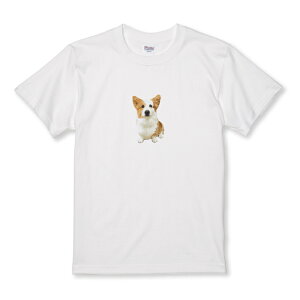 TVc LbY ǂTCY R[M[  Ck ʐ^ J[  킢 TCY 100 110 120 130 140 150   100% Rbg TVc TVc zCg ubN ǂ qTCY q