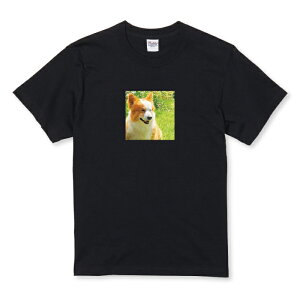 TVc LbY ǂTCY R[M[  Ck ʐ^ J[  킢 TCY 100 110 120 130 140 150   100% Rbg TVc TVc zCg ubN ǂ qTCY q