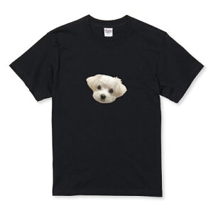 _30%OFFN[|zz^ TVc LbY ǂTCY Ck   }`[Y  Aj} ʐ^ OtBbN  킢 TCY 100 110 120 130 140 150   100% Rbg TVc 