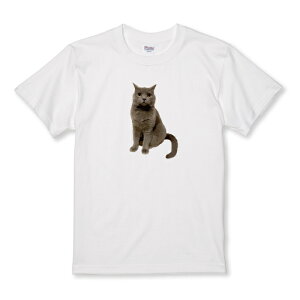 z 50%OFF X[p[Z[ TVc LbY ǂTCY lR L ˂ ueBbVV[gwA  Aj} ʐ^  TCY 100 110 120 130 140 150   100% Rbg TVc 