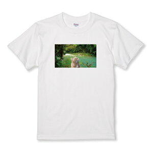 T�V���c �L�b�Y ���ǂ��T�C�Y �L �l�b�g�~�[�� �ʐ^ �F�� �L �˂� �l�R ���� �R �� ������� ���킢�� �T�C�Y 100 110 120 130 140 150 ���� �� 100% �R�b�g�� ��T�V���c ��T�V���c �z���C�g �u���b�N ��