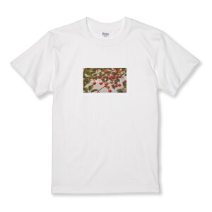 z 50%OFF X[p[Z[ TVc LbY ǂTCY  `F[ ؍ t[c g ʐ^ Hו  킢 TCY 100 110 120 130 140 150   100% Rbg TV