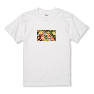 z 50%OFF X[p[Z[ TVc LbY ǂTCY uhE O[v t[c   Hו  ؍  킢 TCY 100 110 120 130 140 150   100% Rbg TVc 