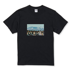 TVc LbY ǂTCY ʐ^ i giJC s k  킢 V[ 낢 TCY 100 110 120 130 140 150   100% Rbg TVc TVc zCg ubN 