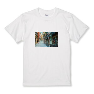 Tシャツ キッズ こどもサイズ 写真 風景 トナカイ 旅行 街中 おしゃれ かわいい シュール おもしろい サイズ 100 110 120 130 140 150 半袖 綿 100% コットン 白Tシャツ 黒Tシャツ ホワイト ブラック こ