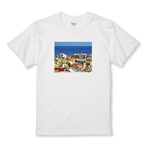 Tシャツ キッズ こどもサイズ 写真 風景 町 航空写真 オシャレ ロゴ 西海岸 おしゃれ かっこいい きれい サイズ 100 110 120 130 140 150 半袖 綿 100% コットン 白Tシャツ 黒Tシャツ ホワイト ブラック