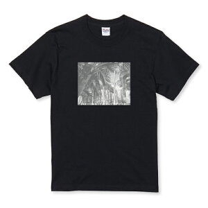 TVc LbY ǂTCY ʐ^ i  qʐ^ IV S nC   TCY 100 110 120 130 140 150   100% Rbg TVc TVc zCg ubN ǂ