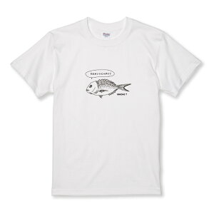 TVc LbY ǂTCY }_C 炭 ނ tBbVO AEghA 킢 낢 ʔ TCY 100 110 120 130 140 150   100% Rbg TVc TVc zCg u