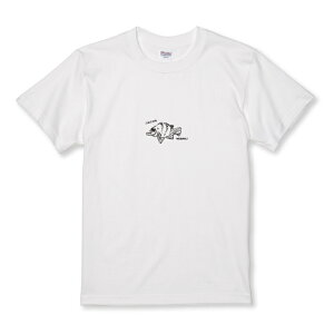 TVc LbY ǂTCY o 炭 ނ tBbVO AEghA  낢 ʔ TCY 100 110 120 130 140 150   100% Rbg TVc TVc zCg u