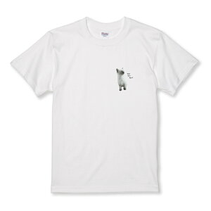 TVc LbY ǂTCY L ˂ lR ybg   킢  Y LC ꂢ qL TCY 100 110 120 130 140 150   100% Rbg TVc TVc zCg u