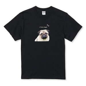 _zN[|zz^ TVc LbY ǂTCY pO   hbO ybg   킢  ʐ^ pug l킢 TCY 100 110 120 130 140 150   100% Rbg TVc 