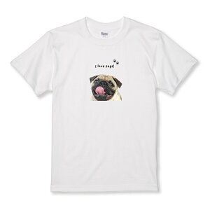 z 50%OFF X[p[Z[ TVc LbY ǂTCY pO   hbO ybg   킢  ʐ^ pug l킢 TCY 100 110 120 130 140 150   100% Rbg TV