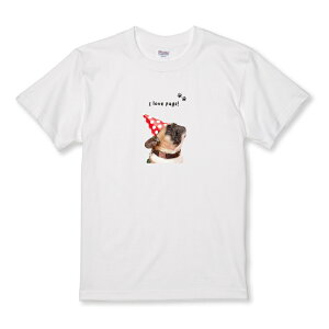 z 50%OFF X[p[Z[ TVc LbY ǂTCY pO   hbO ybg   킢  ʐ^ pug l킢 TCY 100 110 120 130 140 150   100% Rbg TV