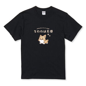 z 50%OFF X[p[Z[ TVc LbY ǂTCY `   ybg  킢  CXg LN^[ Vg TCY 100 110 120 130 140 150   100% Rbg TV