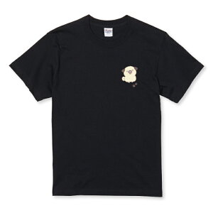 z 50%OFF X[p[Z[ TVc LbY ǂTCY pO ς    Aj}  킢 CXg LN^[ TCY 100 110 120 130 140 150   100% Rbg TVc 