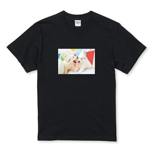 _30%OFFN[|zz^ TVc LbY ǂTCY   񂿂 p[eB a j Ί P[L  ʔ TCY 100 110 120 130 140 150   100% Rbg TVc TV