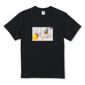 TVc LbY ǂTCY  񂿂 [NV[eA p[eB a j P[L 킢 TCY 100 110 120 130 140 150   100% Rbg TVc TVc zCg u