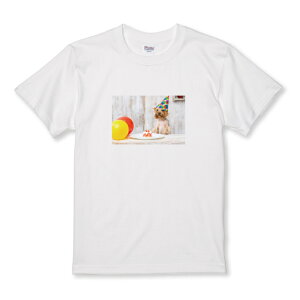 _30%OFFN[|zz^ TVc LbY ǂTCY  񂿂 [NV[eA p[eB a j P[L 킢 TCY 100 110 120 130 140 150   100% Rbg TVc T