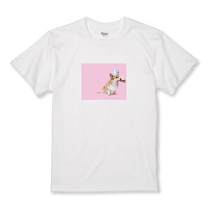 _30%OFFN[|zz^ TVc LbY ǂTCY   񂿂 R[M[ p[eB a j   ʔ TCY 100 110 120 130 140 150   100% Rbg TVc TV