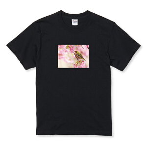 z 50%OFF X[p[Z[ TVc LbY ǂTCY W ߂    i ʐ^ 킢 F F l  TCY 100 110 120 130 140 150   100% Rbg TV