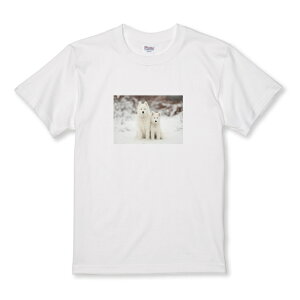 _30%OFFN[|zz^ TVc LbY ǂTCY TGh    ybg  킢 ӂ tt ʐ^ TCY 100 110 120 130 140 150   100% Rbg TVc T
