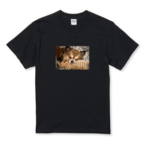 z 50%OFF X[p[Z[ TVc LbY ǂTCY `     Aj} ybg  킢 tt ʐ^ TCY 100 110 120 130 140 150   100% Rbg TV