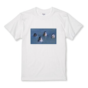 z 50%OFF X[p[Z[ TVc LbY ǂTCY AUV S}tAUV 炵  Aj} ʐ^  킢 TCY 100 110 120 130 140 150   100% Rbg TVc 